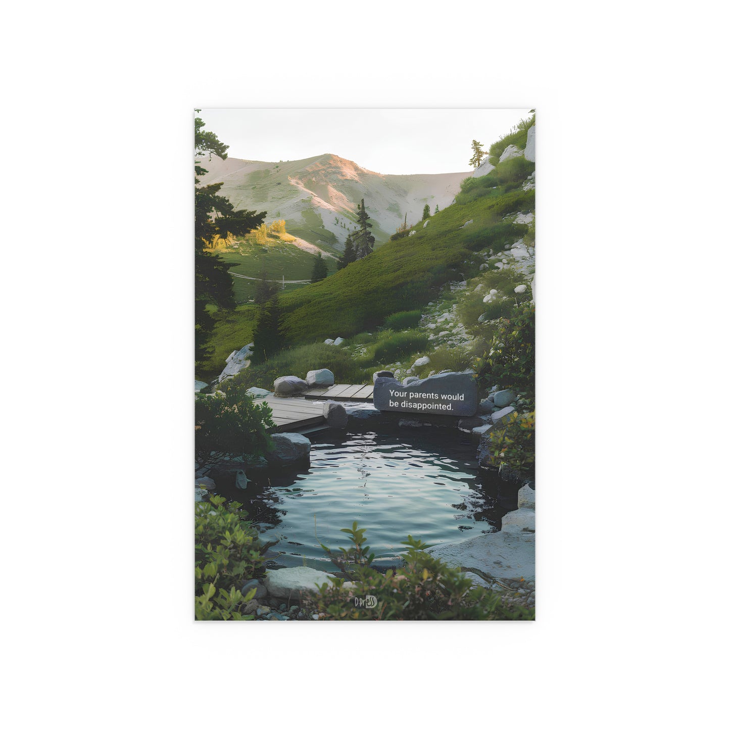 Disappointed Parents - Mountain Lake Rock