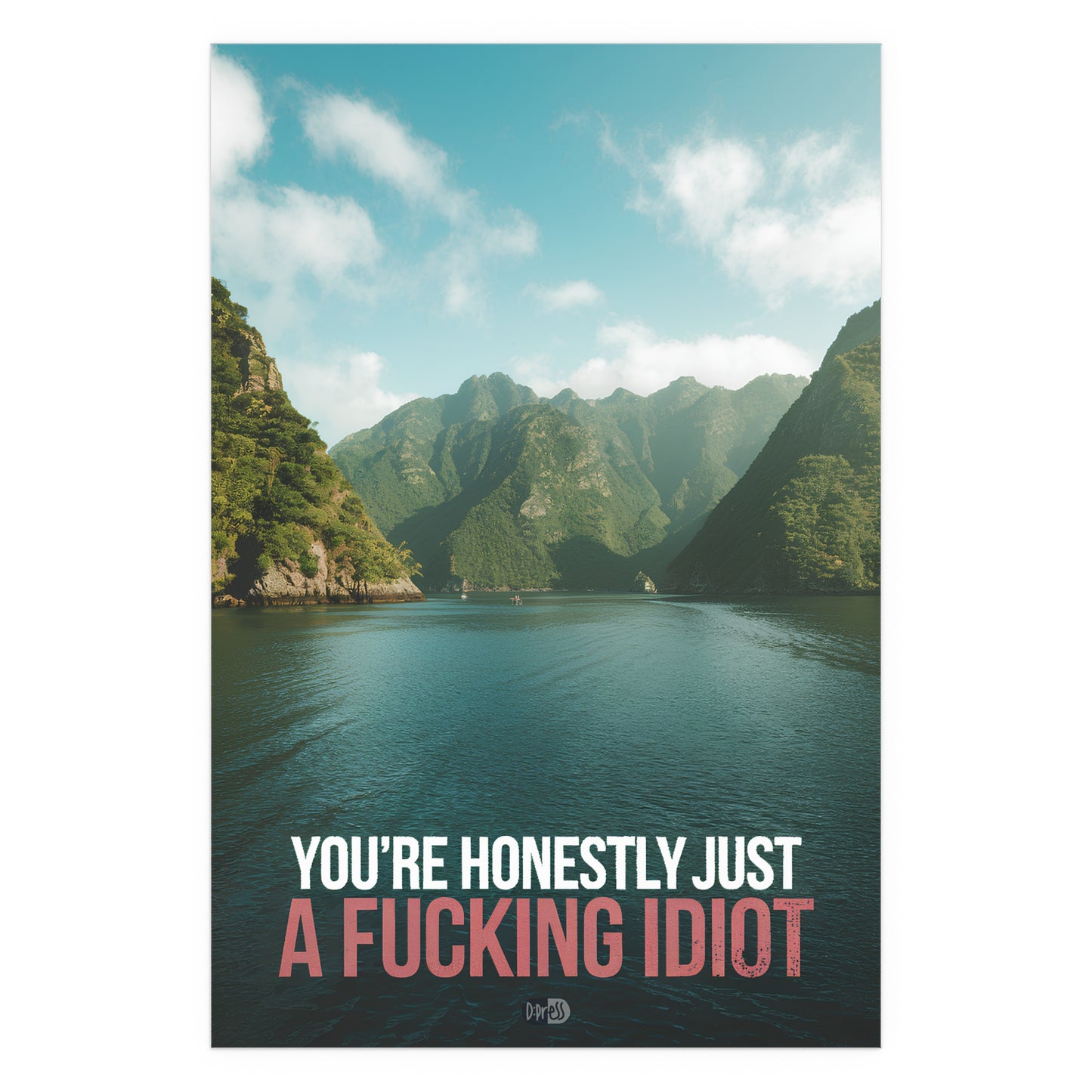 Idiot - Fjord