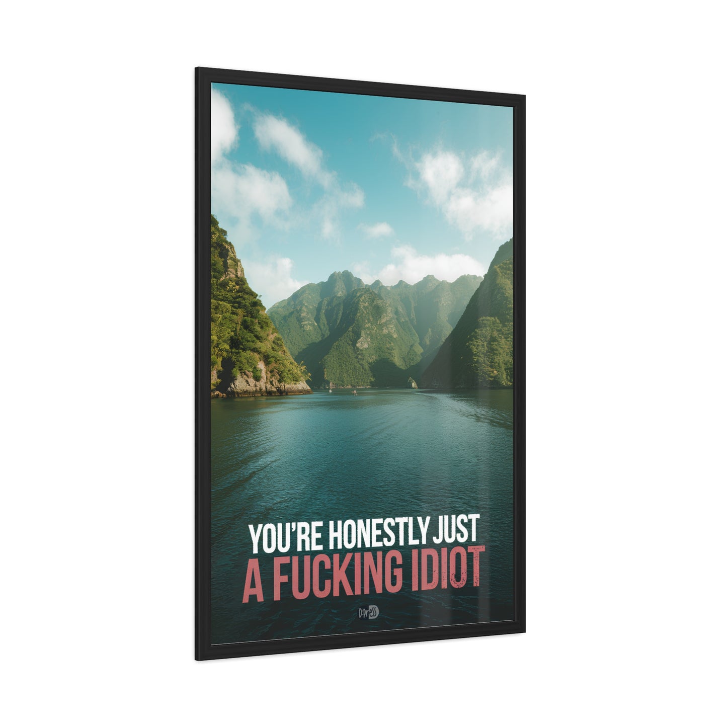 Idiot - Fjord