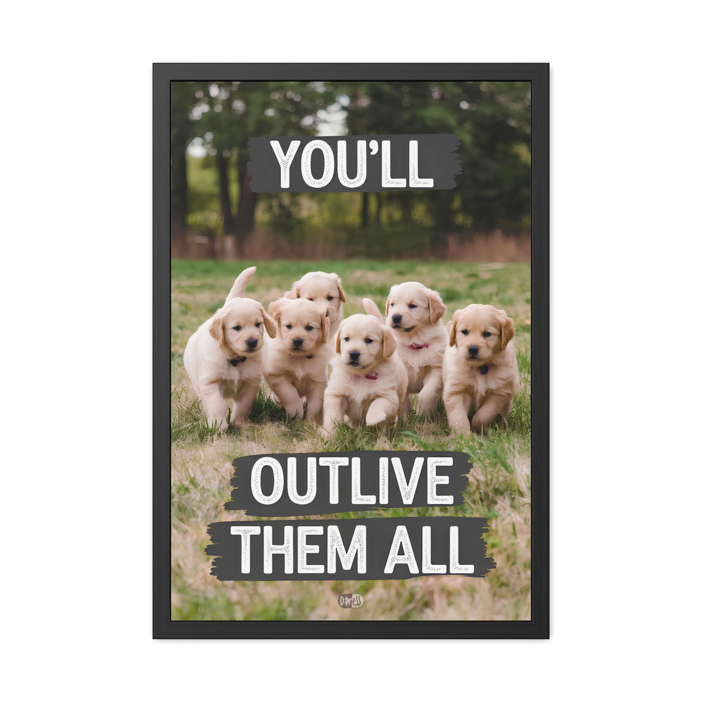 Outlive all Pets - Puppies Running