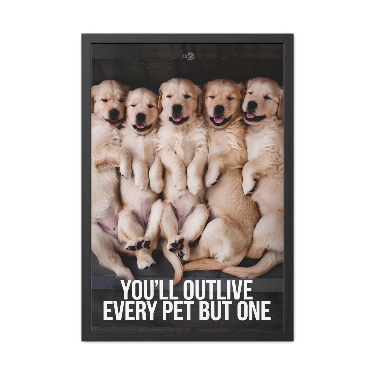 Outlive all Pets - Puppies