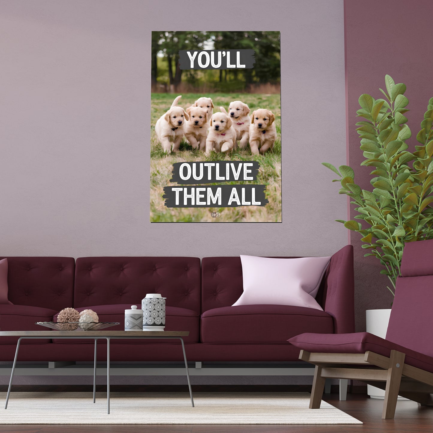 Outlive all Pets - Puppies Running