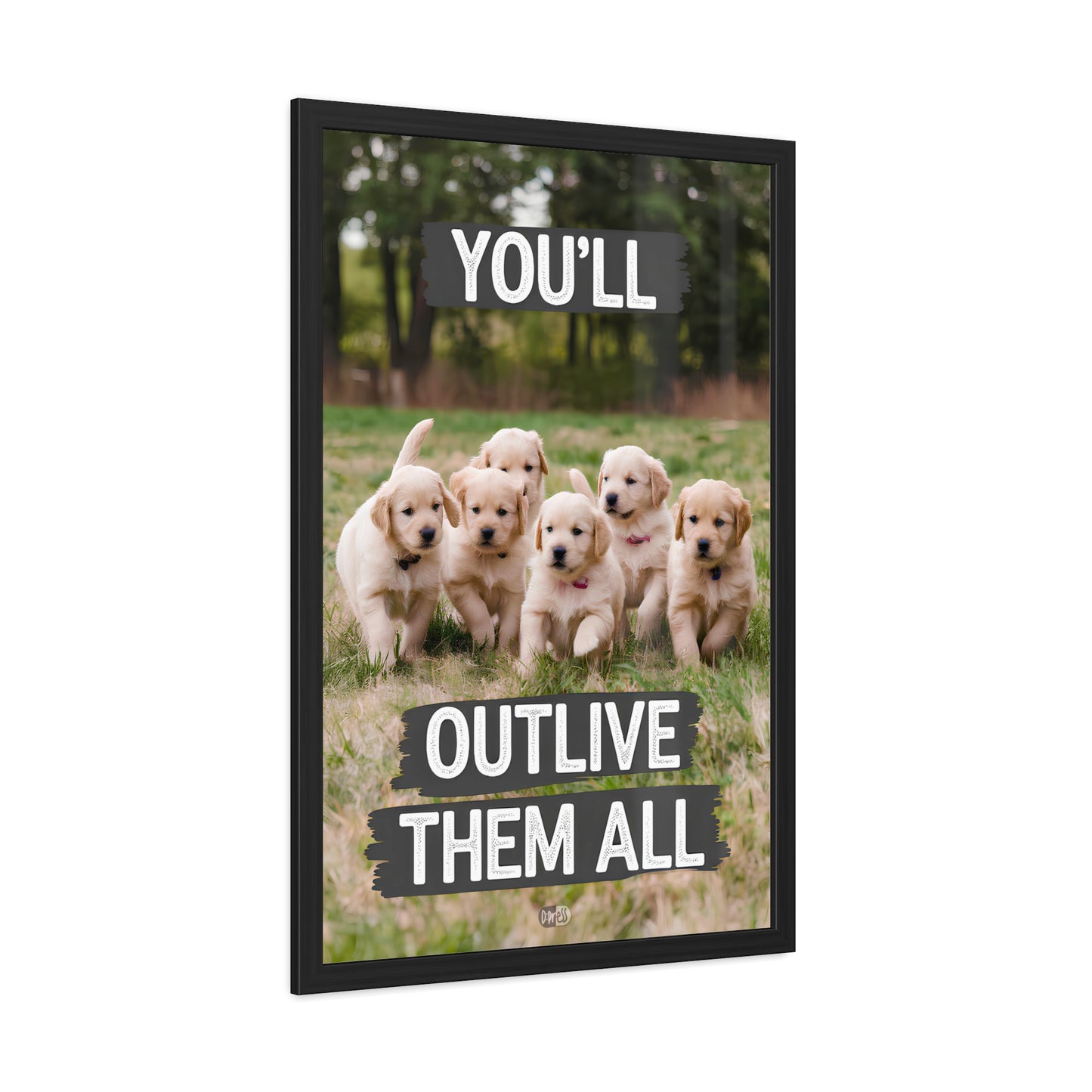 Outlive all Pets - Puppies Running