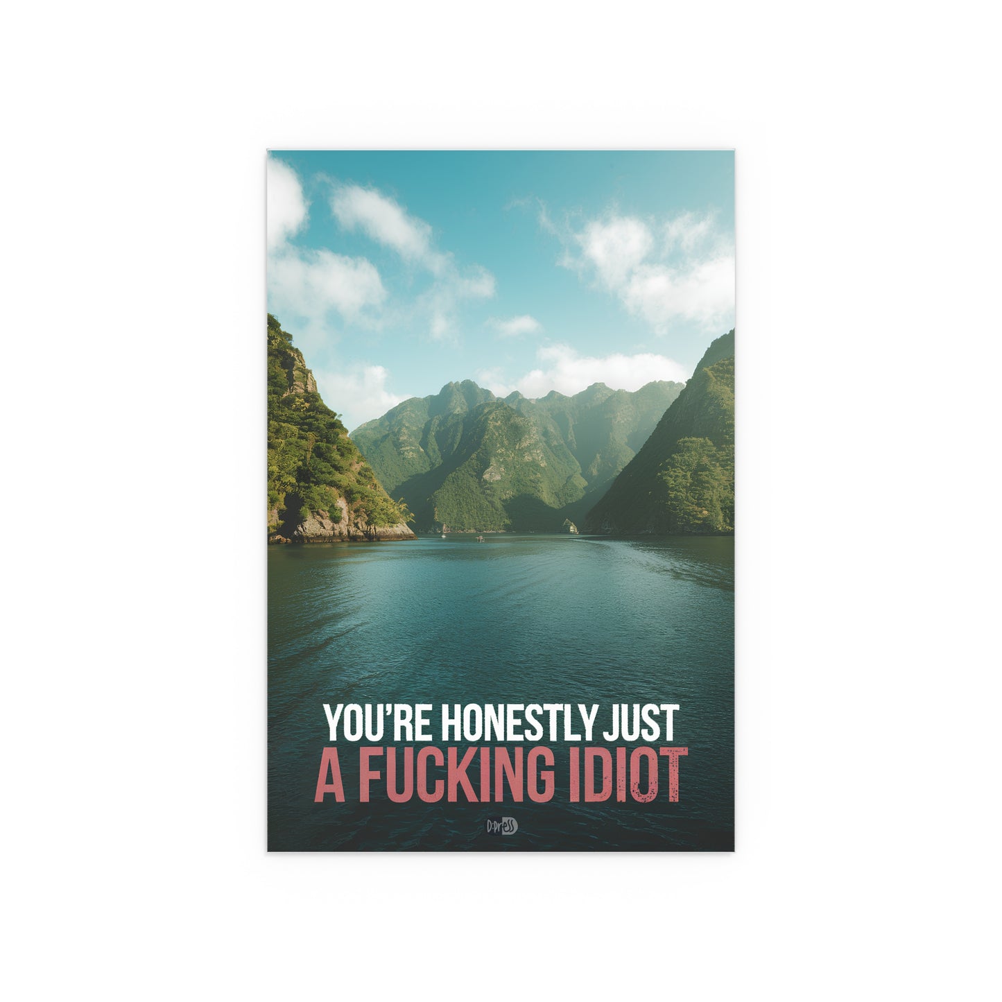 Idiot - Fjord