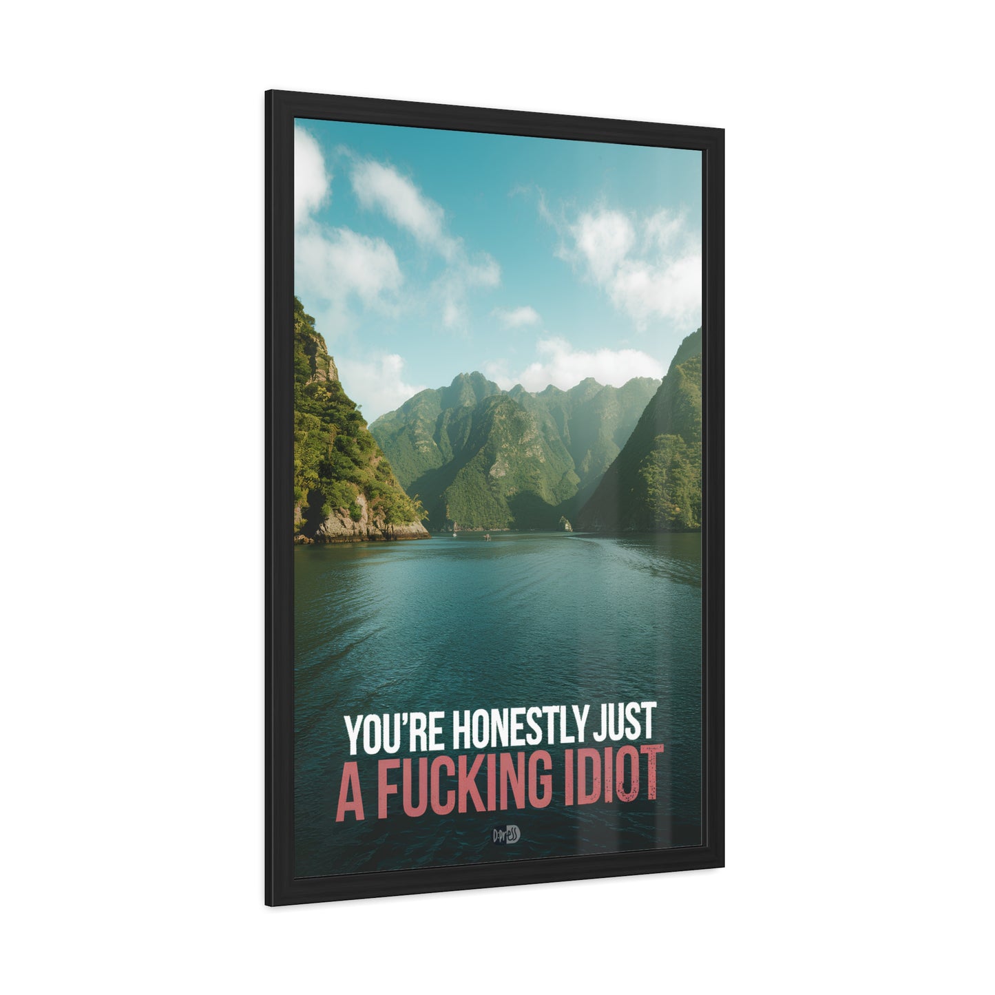 Idiot - Fjord