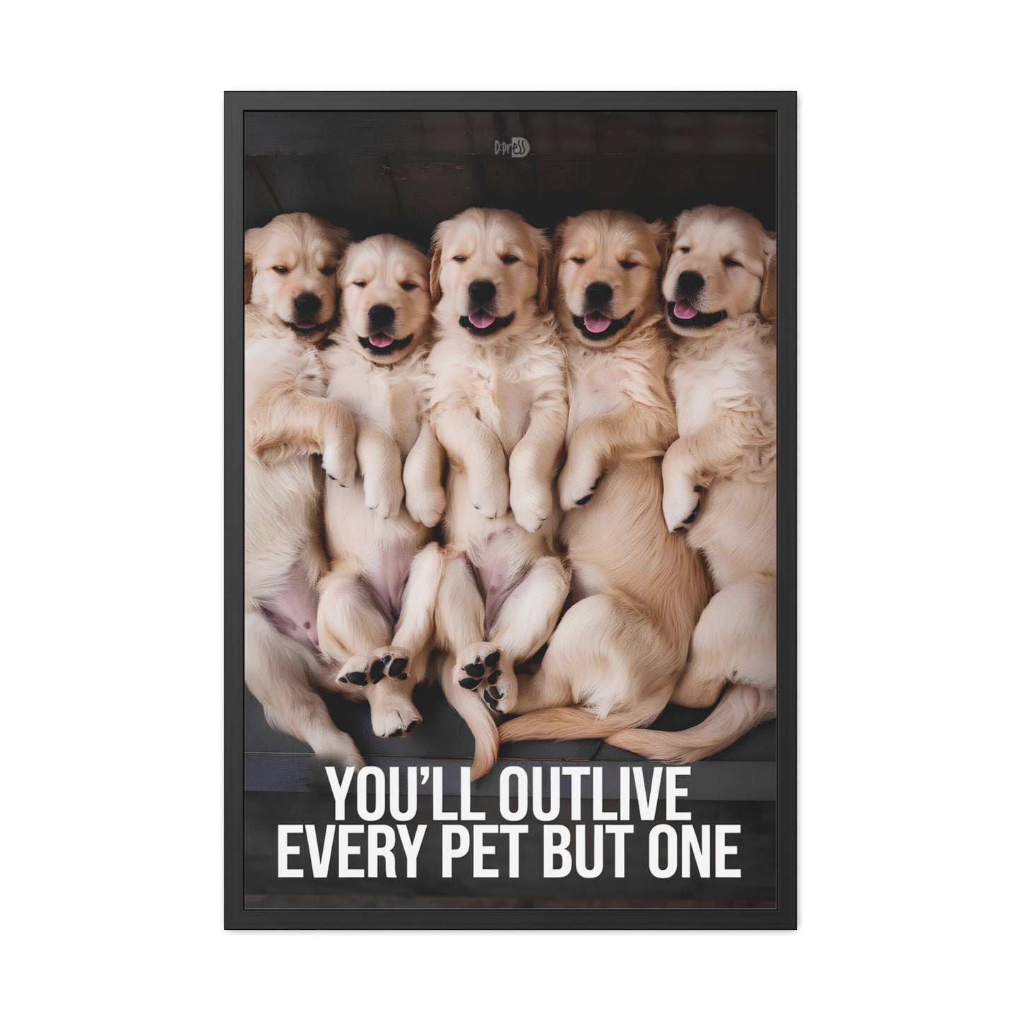 Outlive all Pets - Puppies