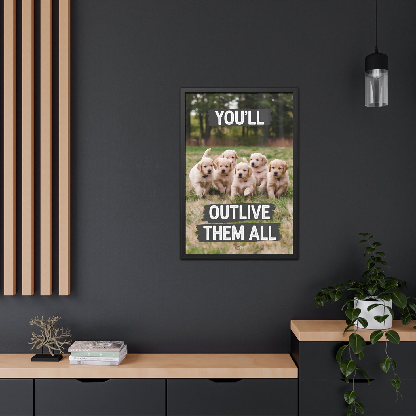 Outlive all Pets - Puppies Running