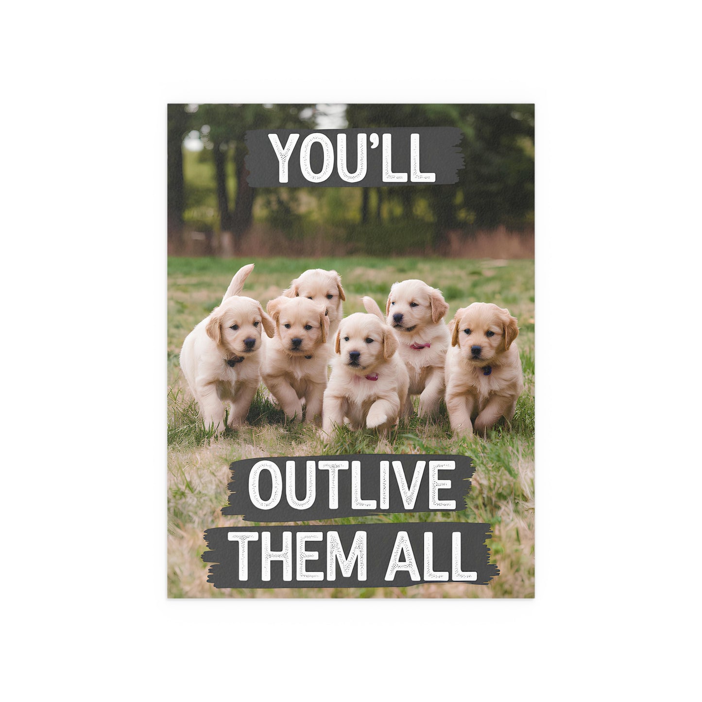 Outlive all Pets - Puppies Running