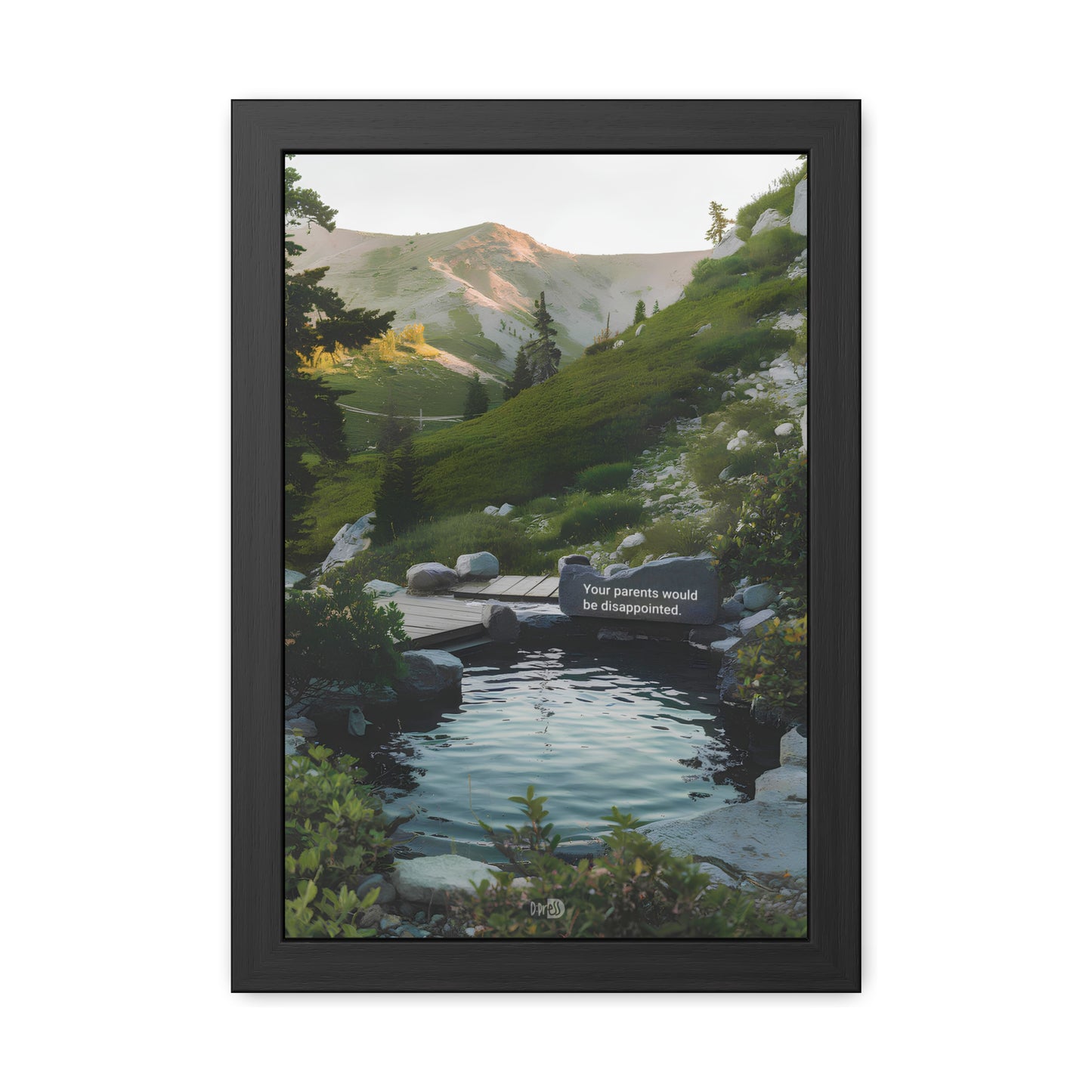Disappointed Parents - Mountain Lake Rock