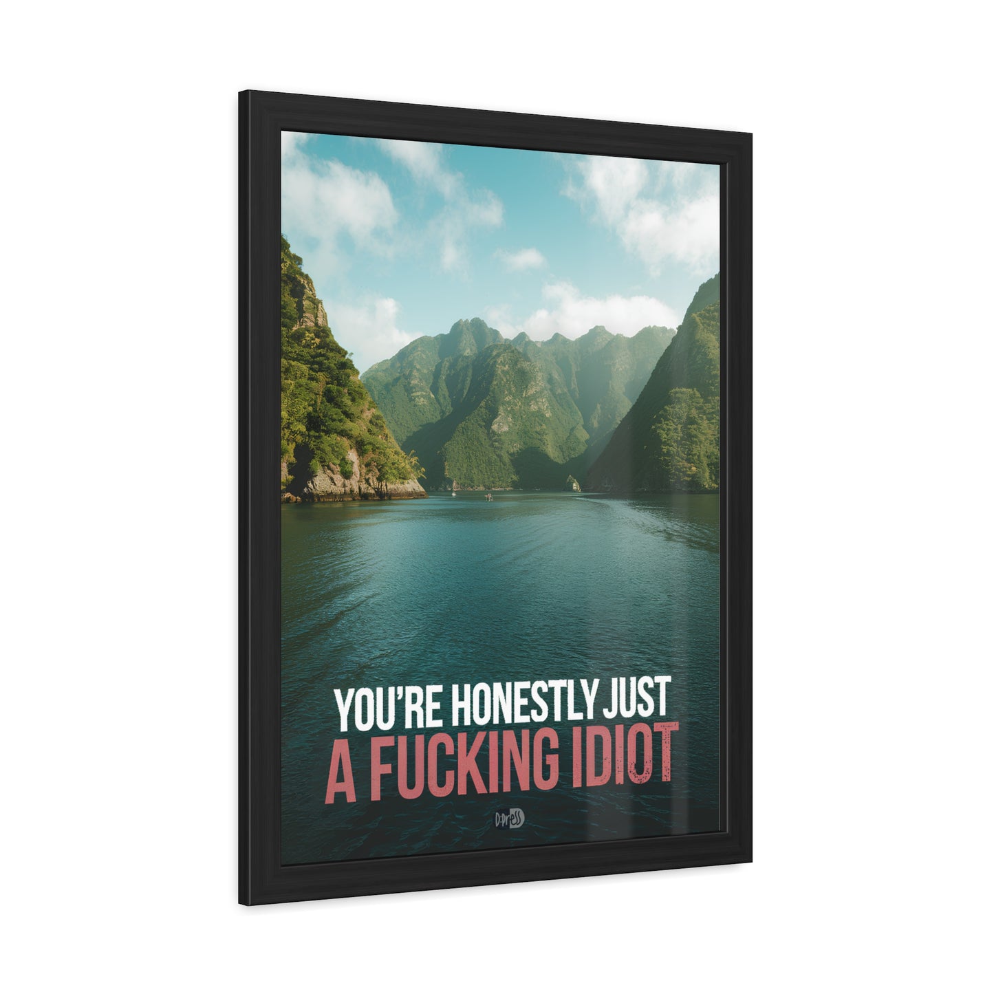 Idiot - Fjord