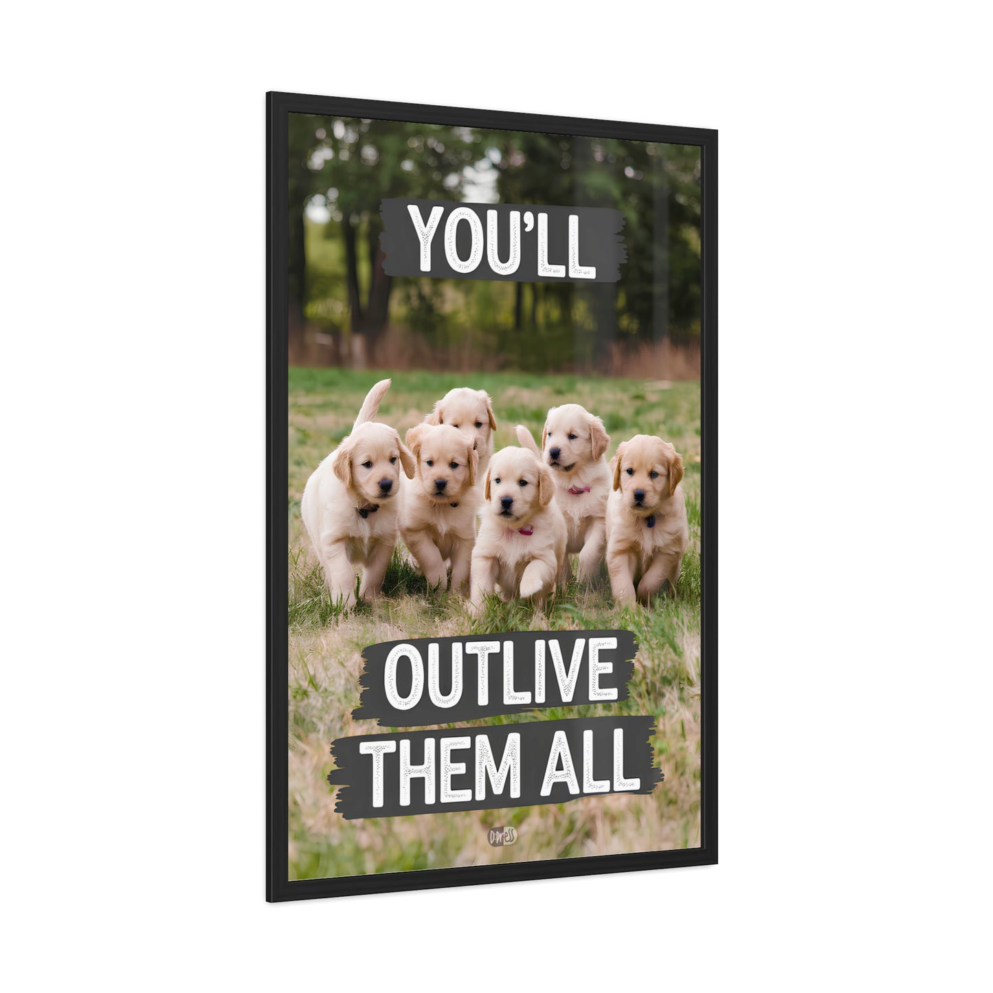 Outlive all Pets - Puppies Running