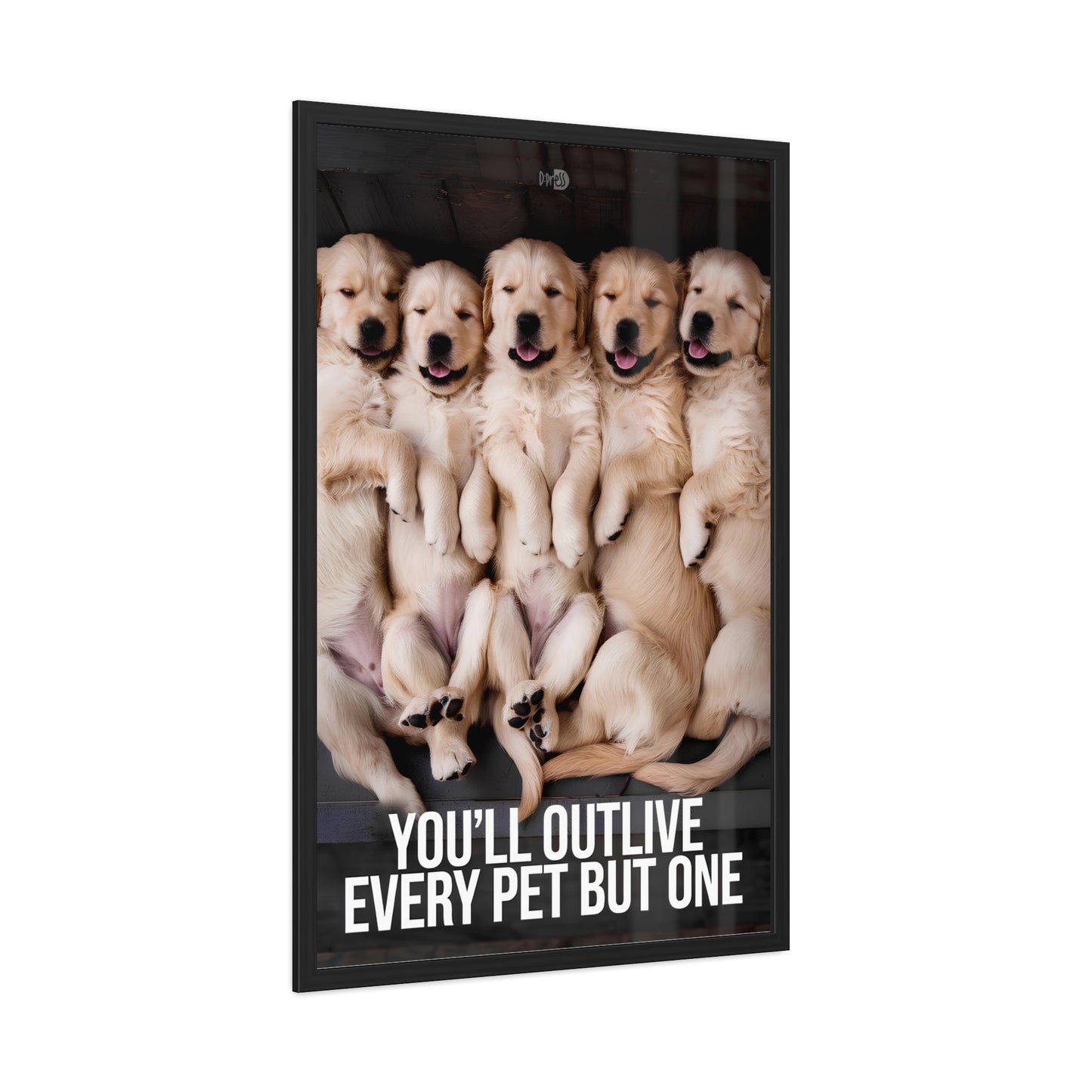 Outlive all Pets - Puppies