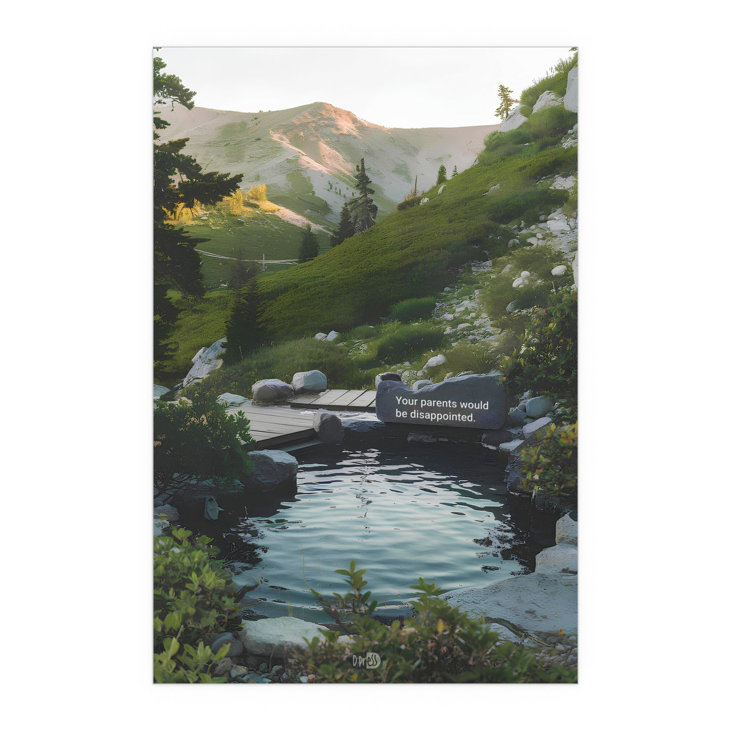 Disappointed Parents - Mountain Lake Rock