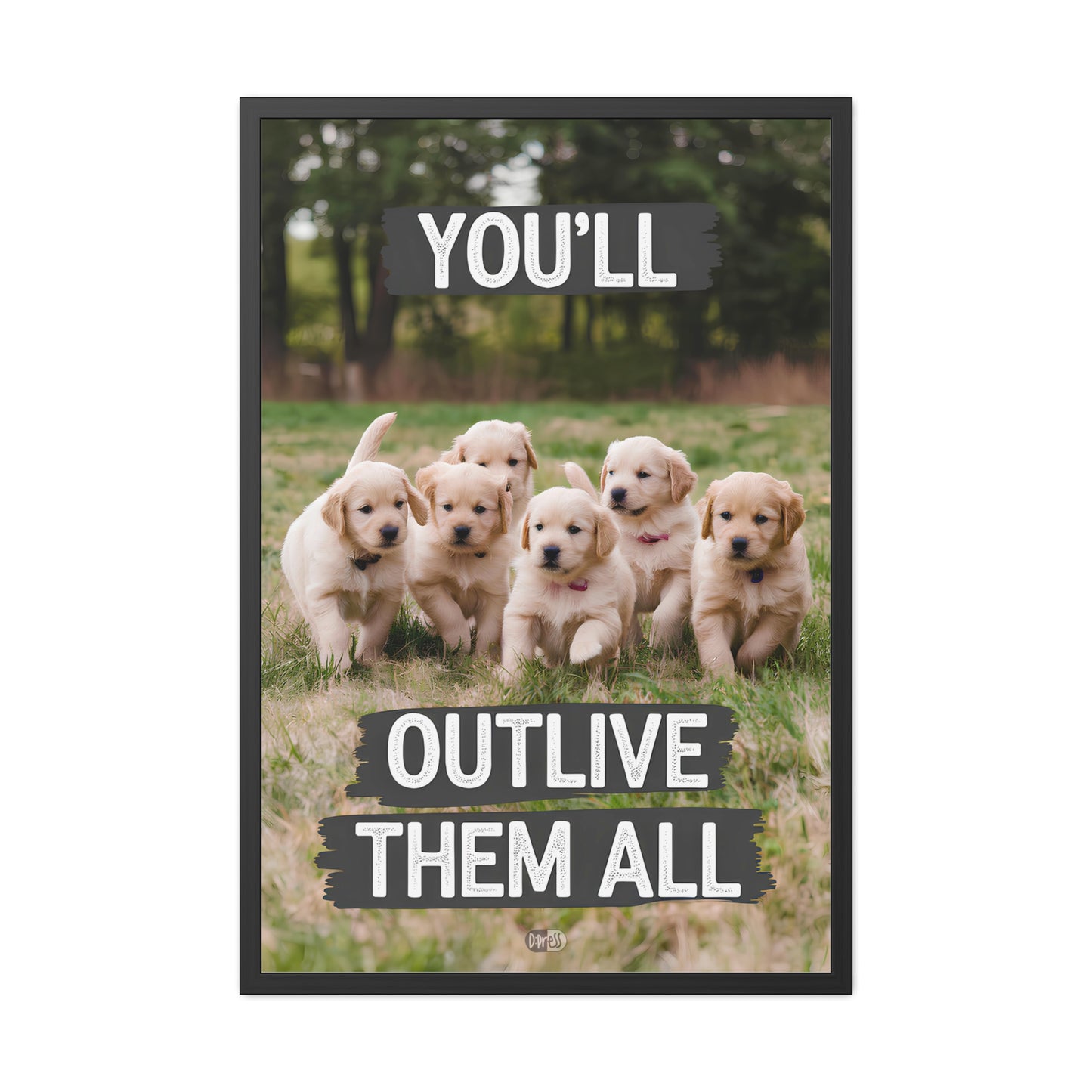 Outlive all Pets - Puppies Running