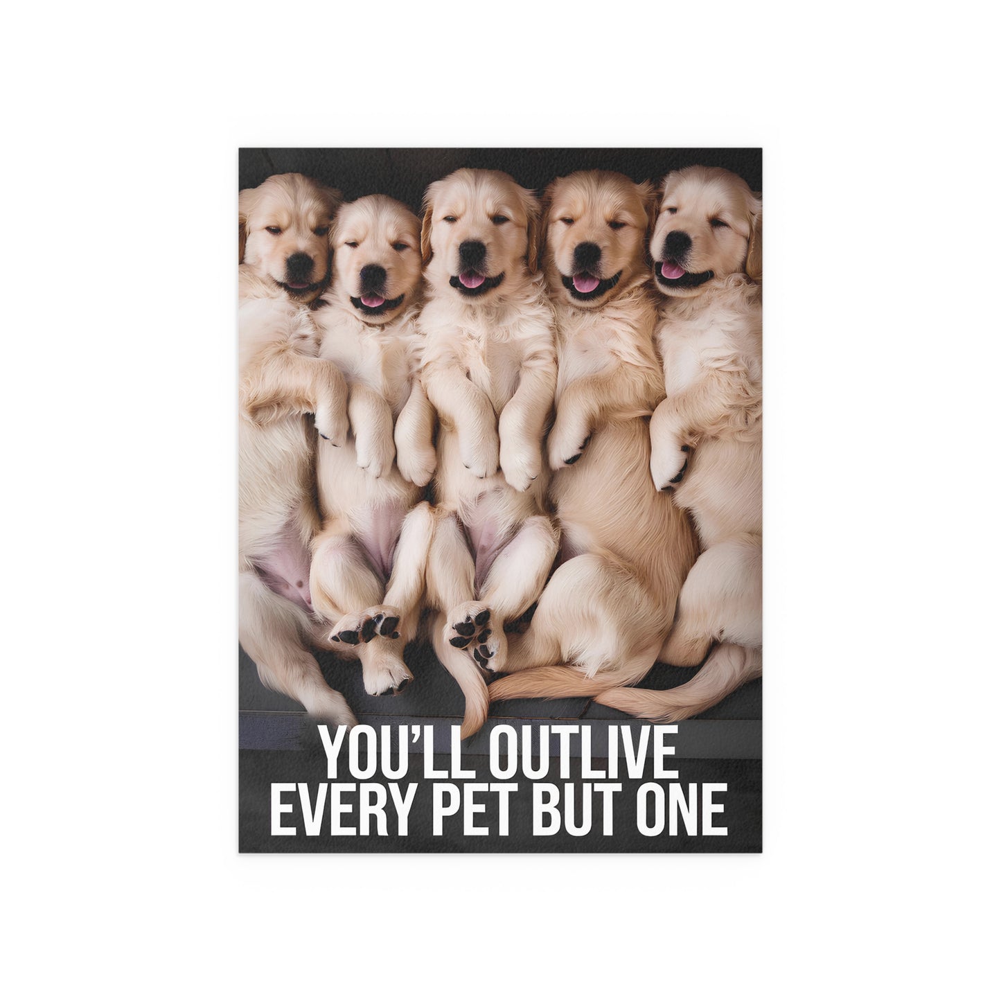 Outlive all Pets - Puppies