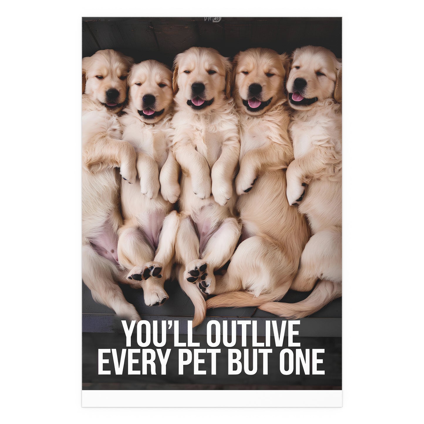 Outlive all Pets - Puppies