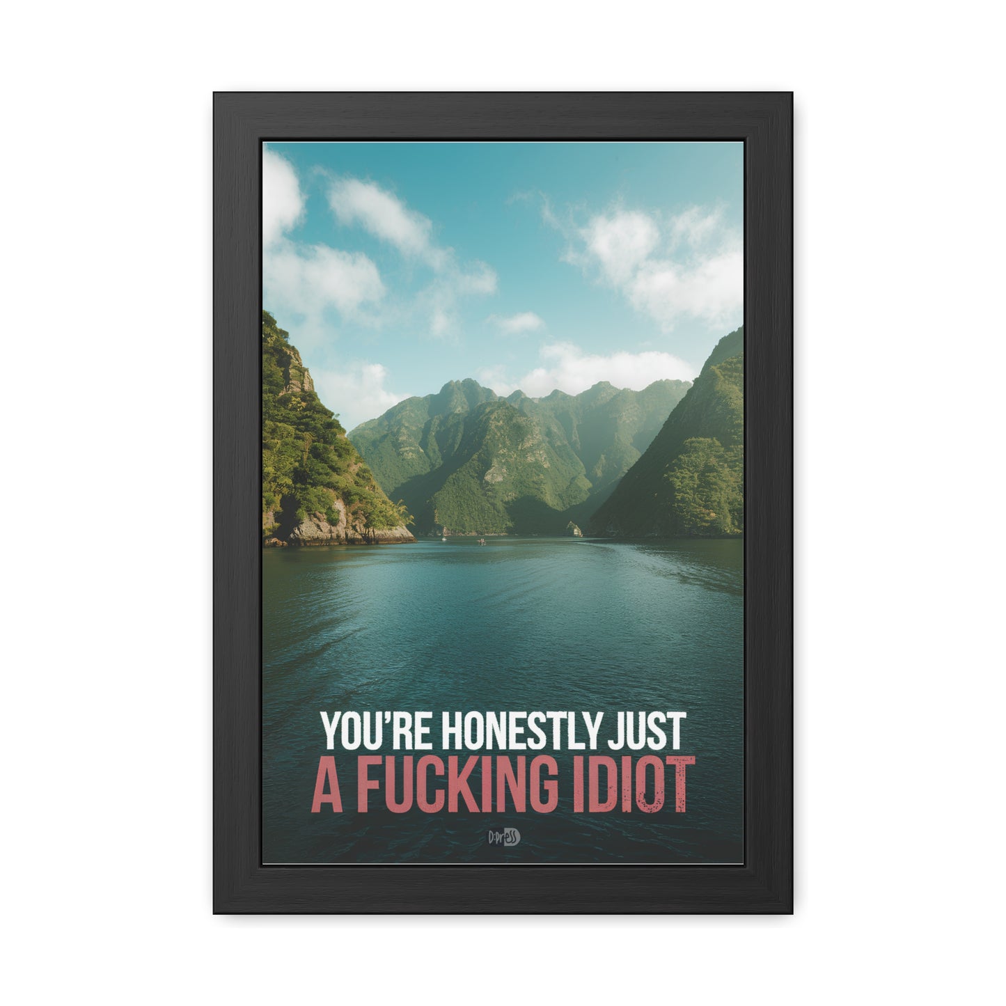 Idiot - Fjord