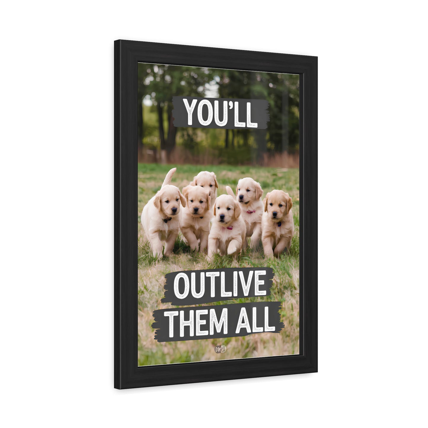 Outlive all Pets - Puppies Running