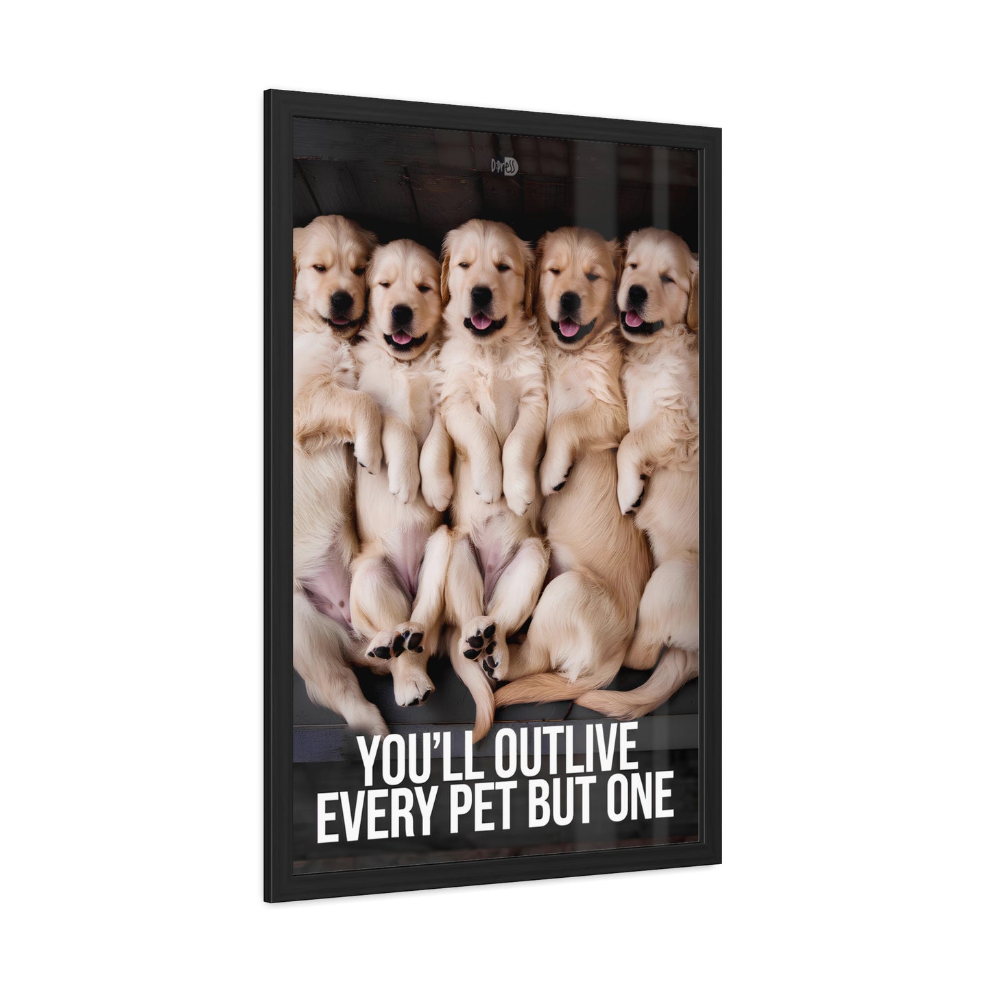 Outlive all Pets - Puppies