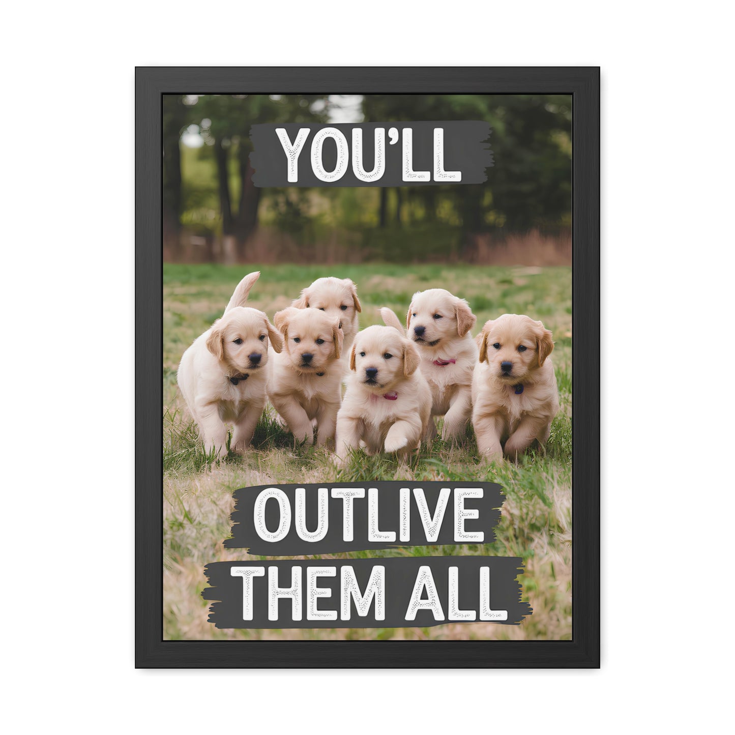 Outlive all Pets - Puppies Running
