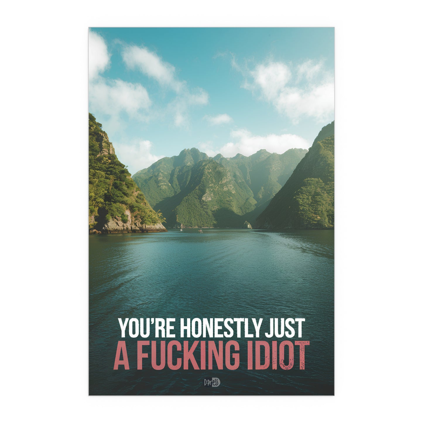 Idiot - Fjord