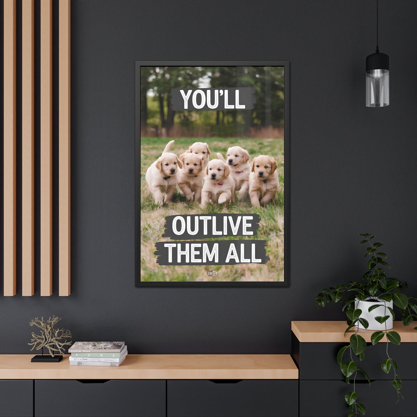 Outlive all Pets - Puppies Running