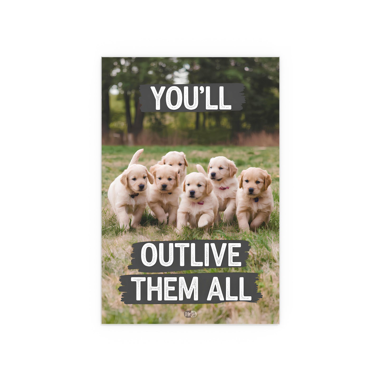 Outlive all Pets - Puppies Running