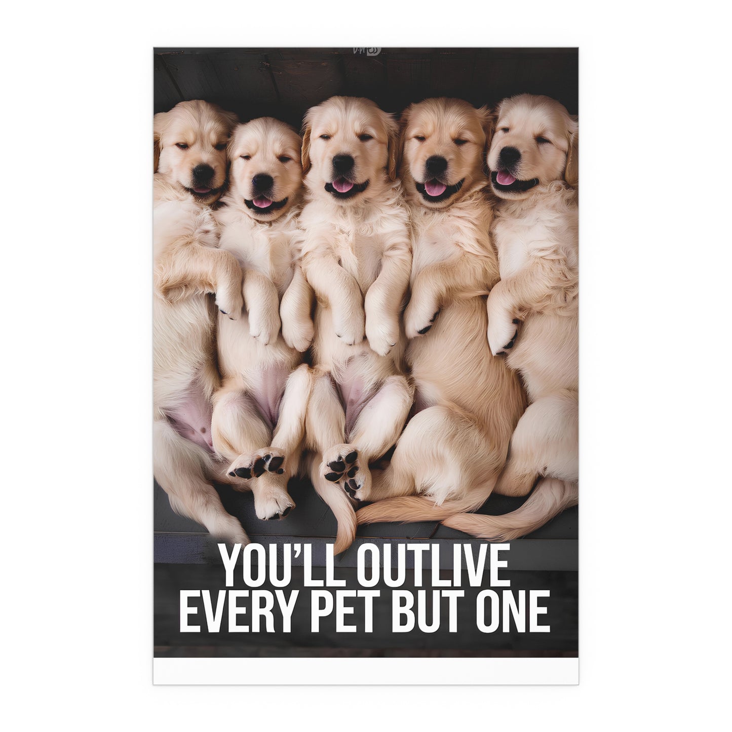 Outlive all Pets - Puppies