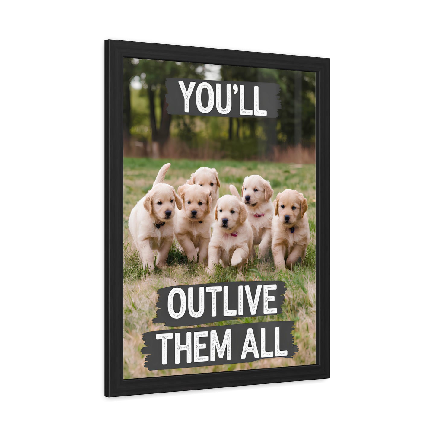 Outlive all Pets - Puppies Running