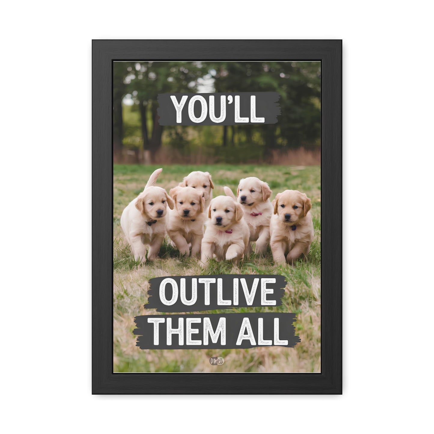 Outlive all Pets - Puppies Running