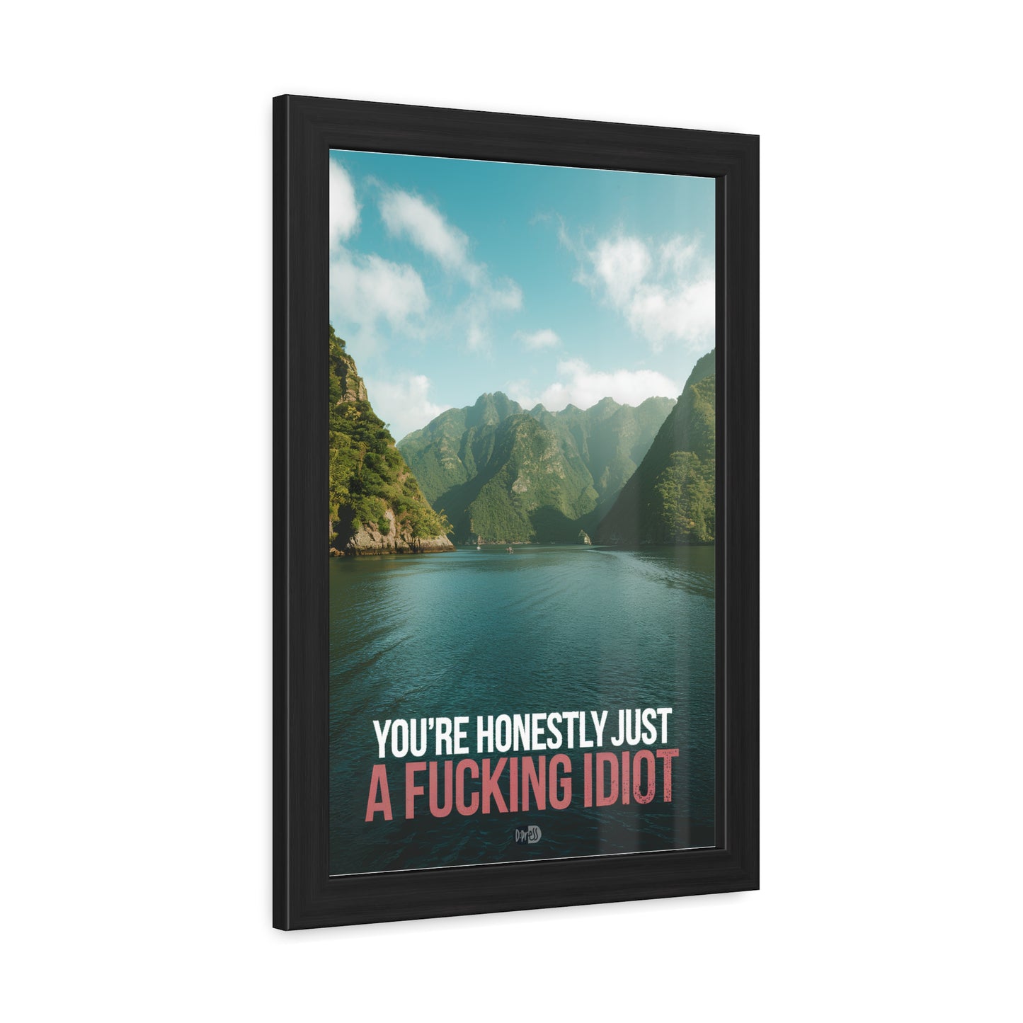 Idiot - Fjord