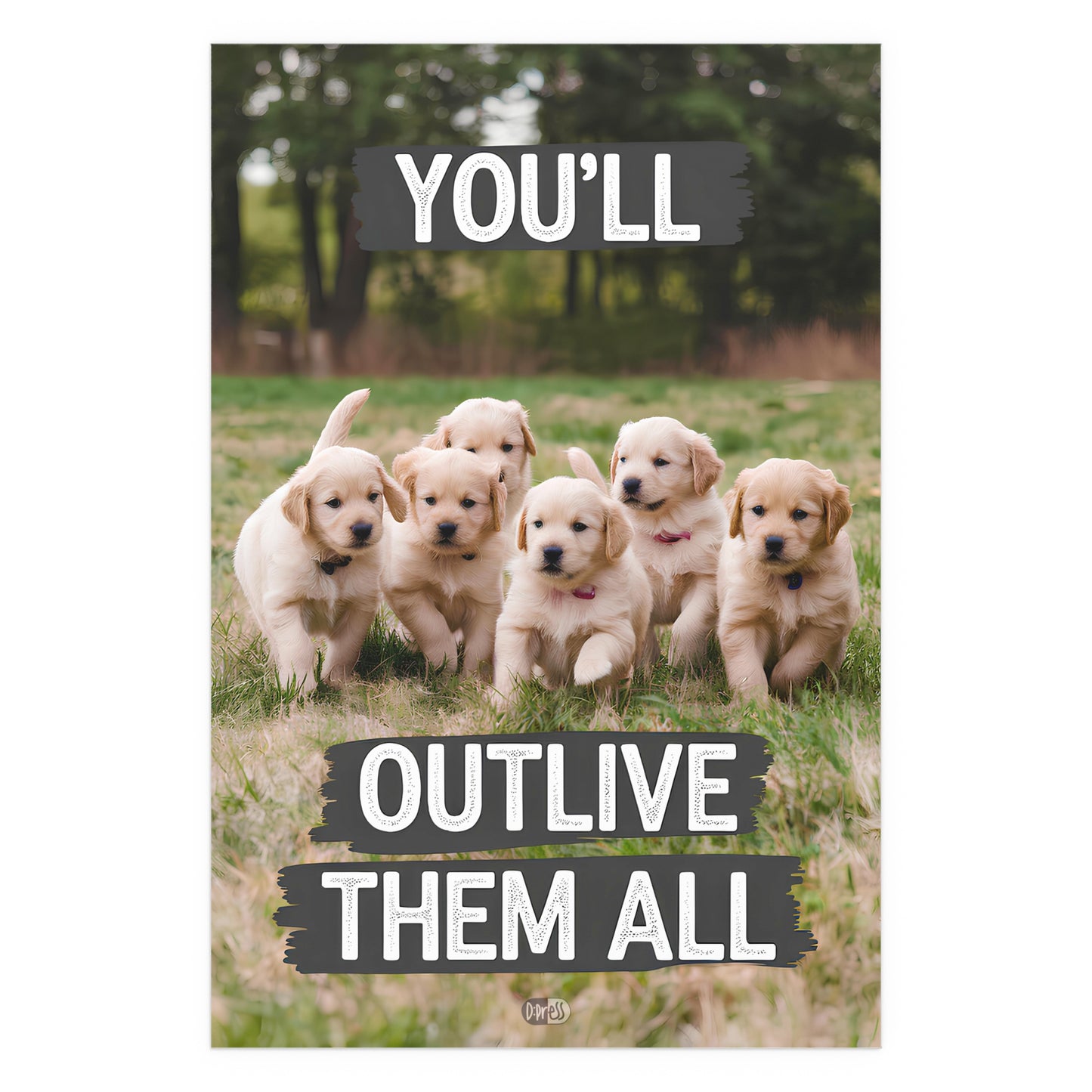 Outlive all Pets - Puppies Running