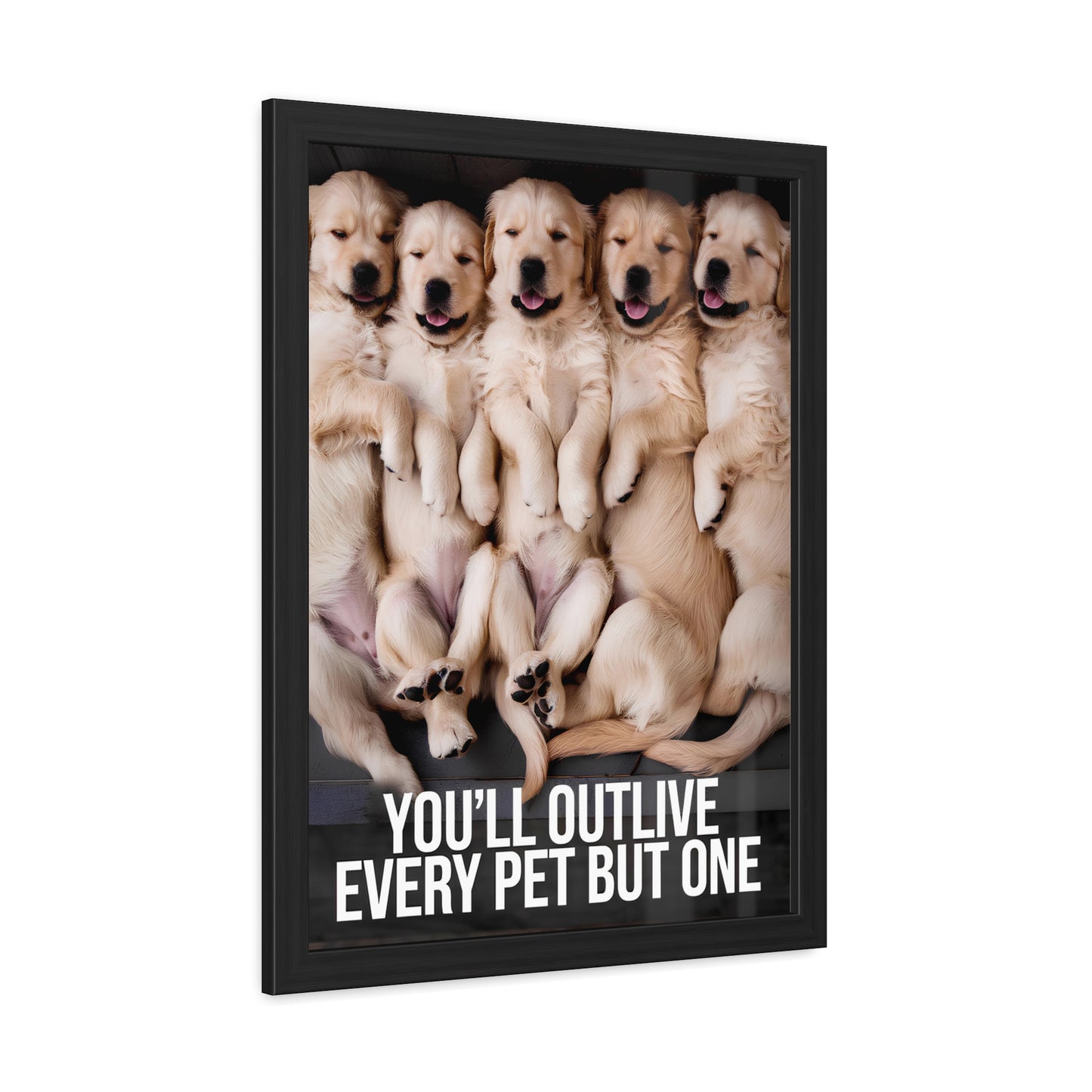 Outlive all Pets - Puppies