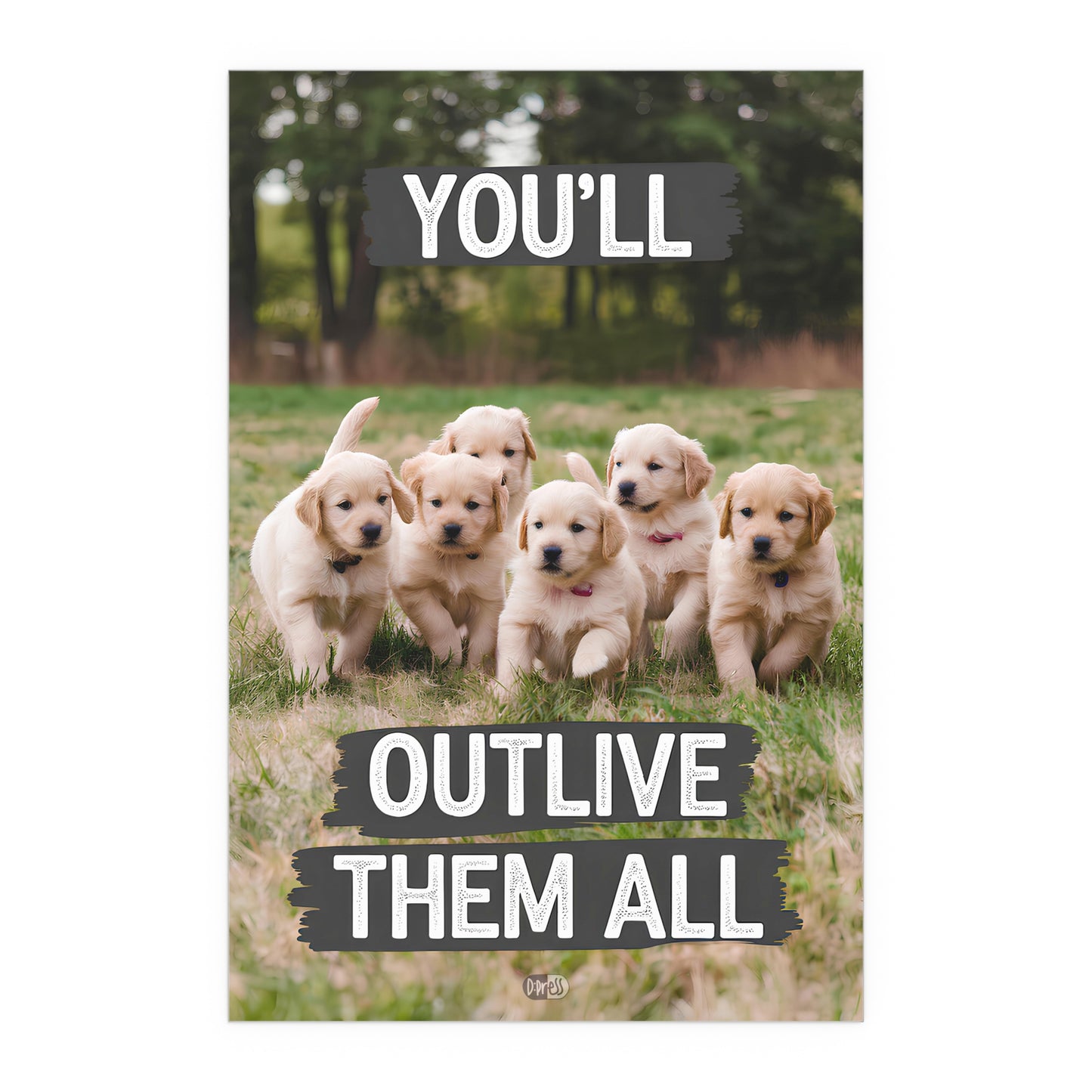 Outlive all Pets - Puppies Running