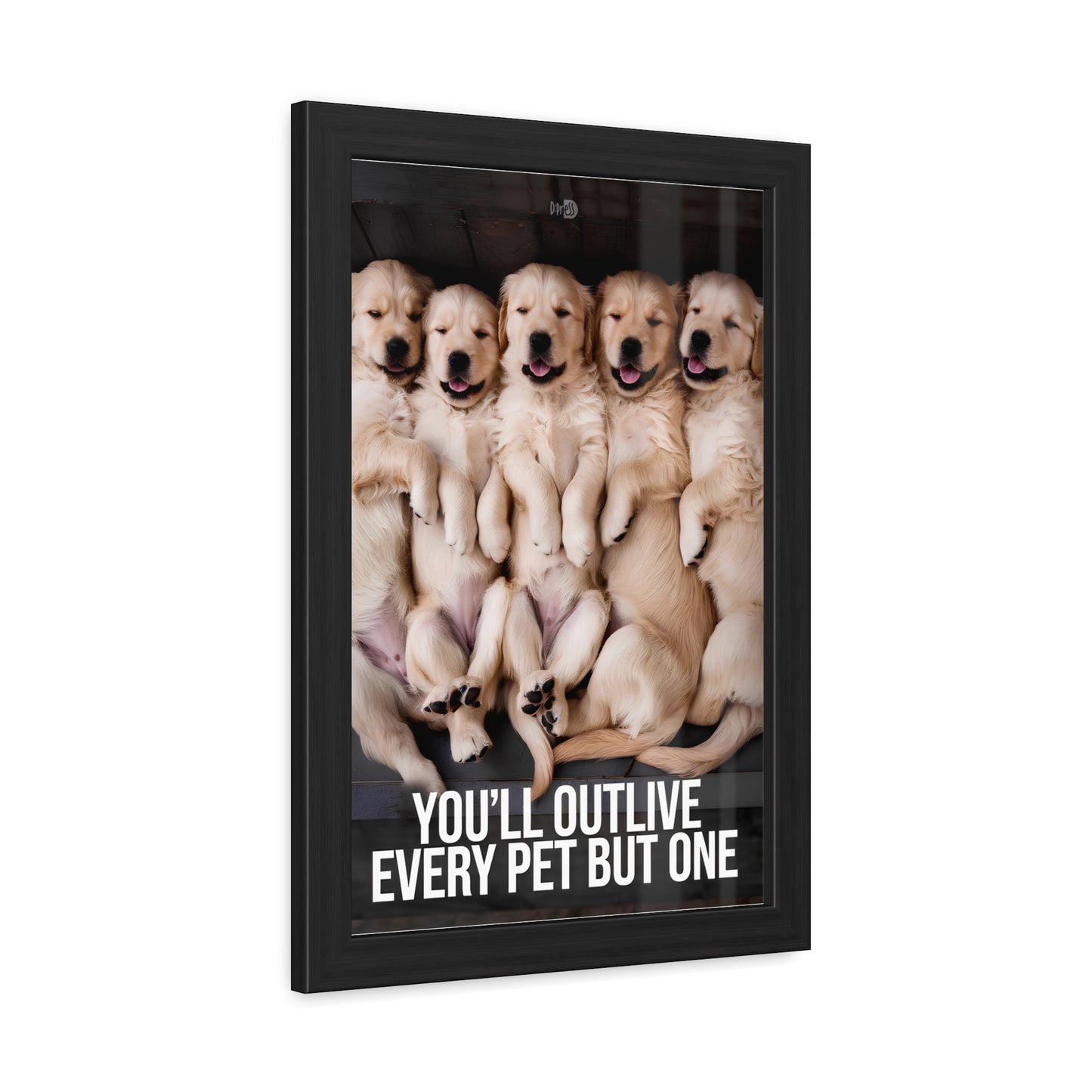 Outlive all Pets - Puppies