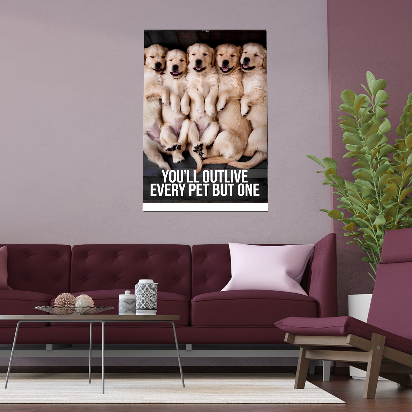 Outlive all Pets - Puppies