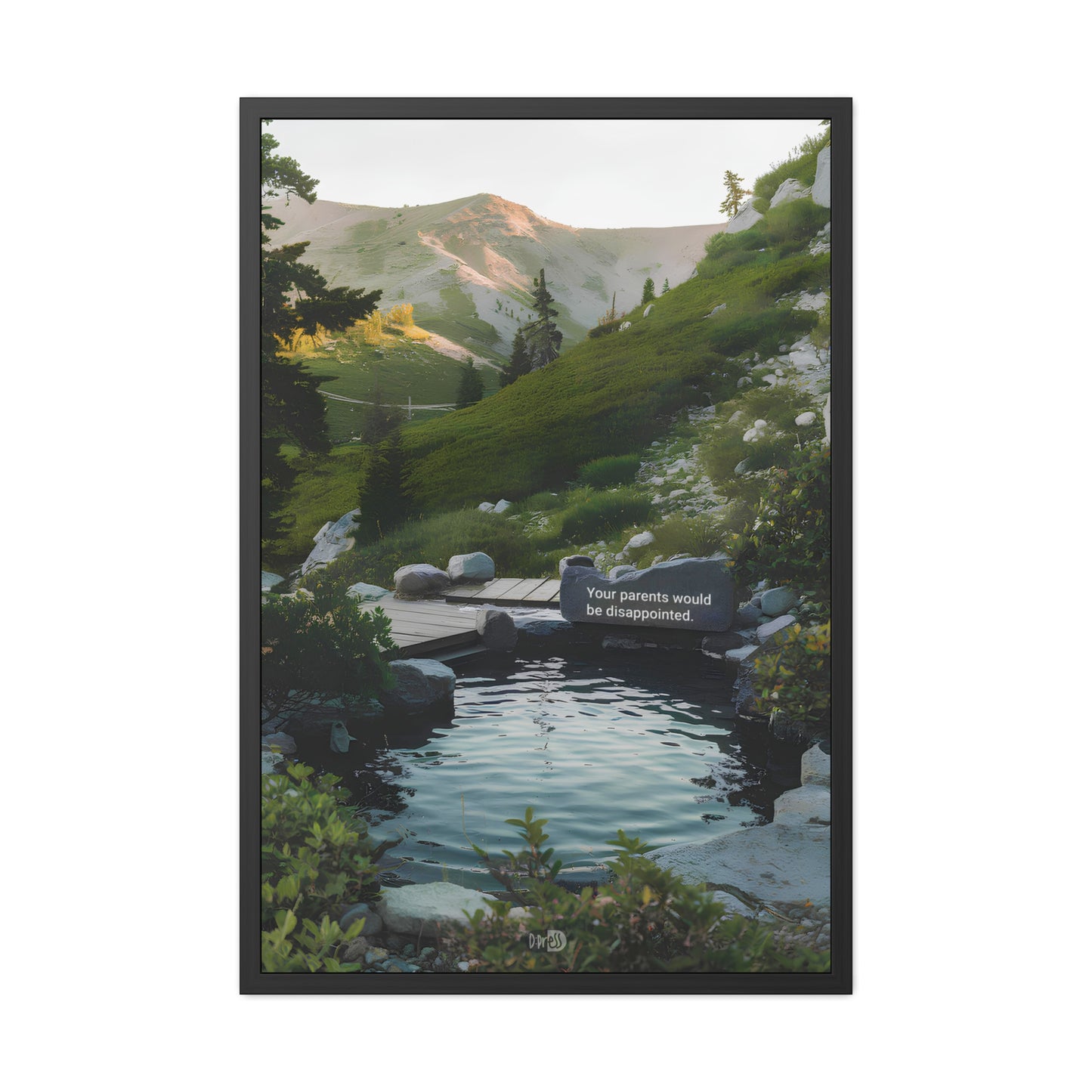 Disappointed Parents - Mountain Lake Rock