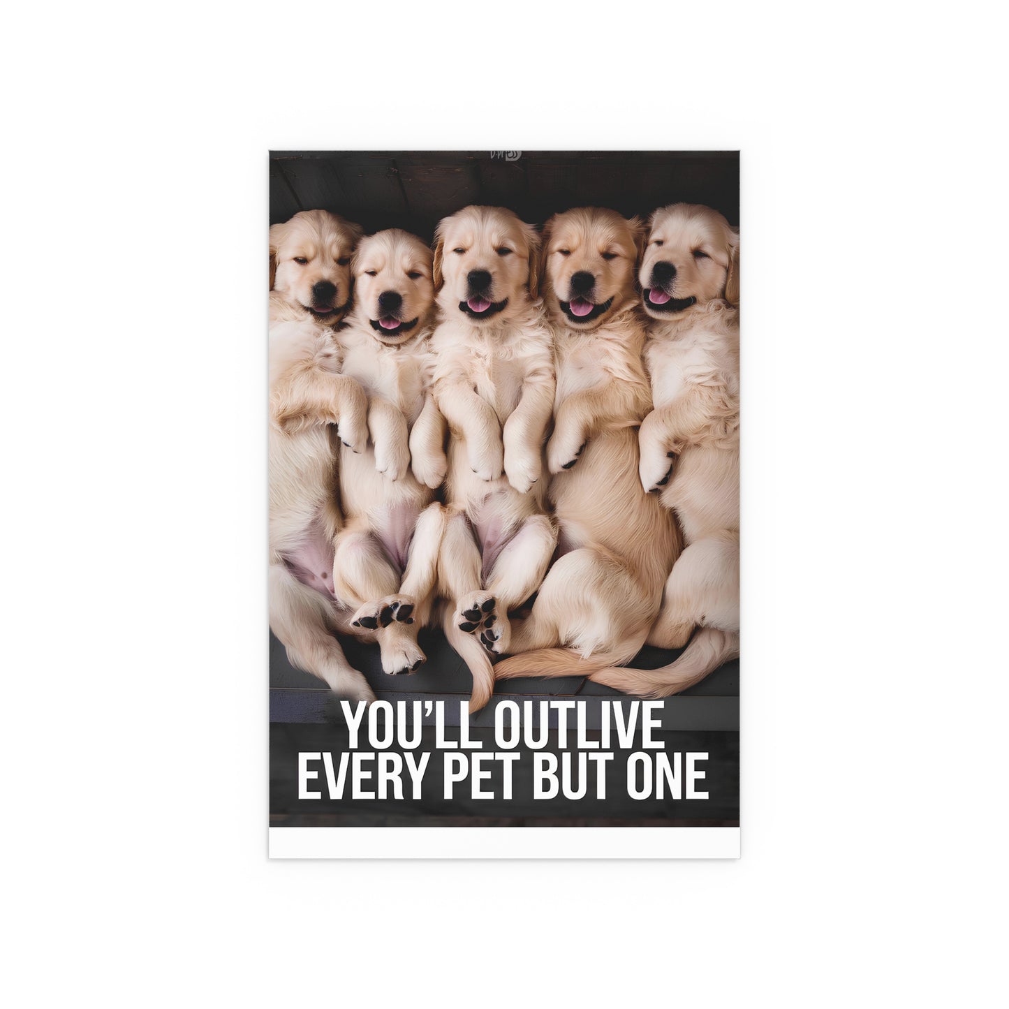 Outlive all Pets - Puppies