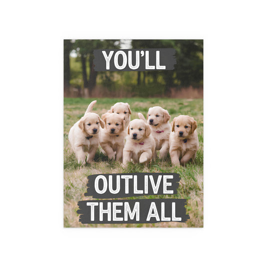Outlive all Pets - Puppies Running